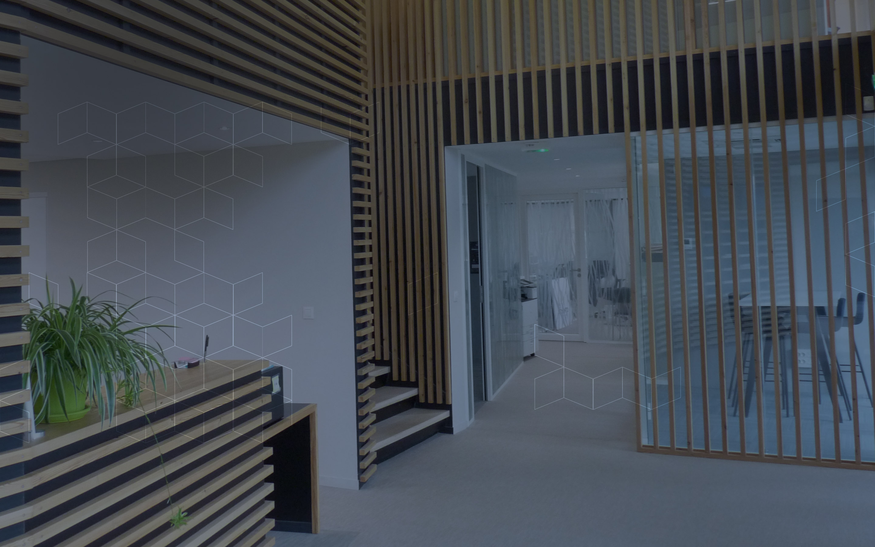 découvrez nos références